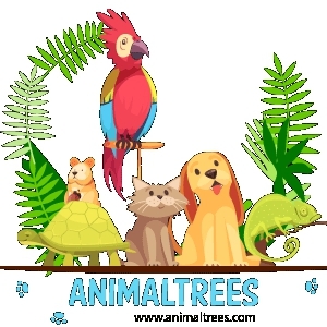 LOGO animaltrees.com