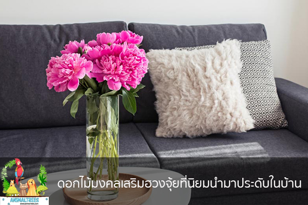 ดอกไม้มงคลเสริมฮวงจุ้ยที่นิยมนำมาประดับในบ้าน จัดสวนหน้าบ้าน ต้นไม้มงคล สัตว์เลี้ยงน่ารัก ทริคจัดสวน วิธีเลี้ยง หมา แมว หมู นก