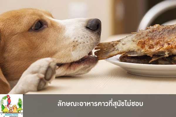 ลักษณะอาหารคาวที่สุนัขไม่ชอบ